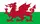 Wales Flag