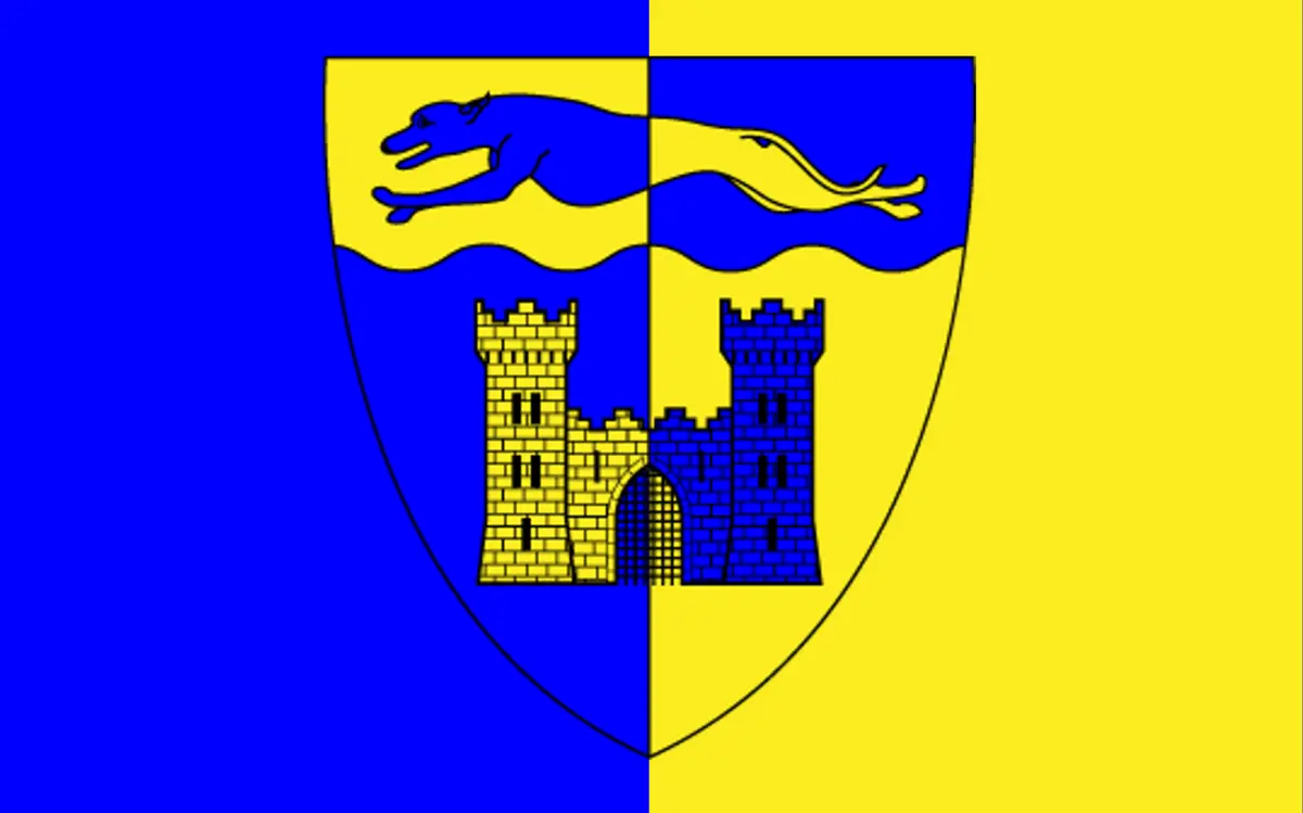Longford County Flag