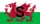 South Wales Flag